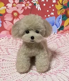 羊毛フェルト トイプードル レッドさん【リラックスポーズ】 - メルカリ