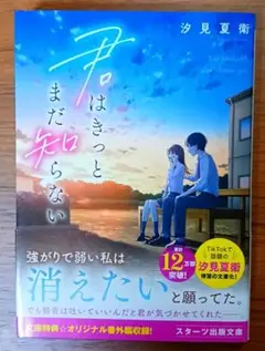 君はきっとまだ知らない