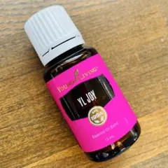 2025年最新】ワイエルジョイの人気アイテム - メルカリ