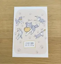 SY様 リクエスト 4点 まとめ商品