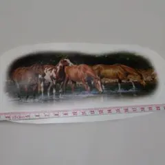 Item thumbnail for item 4b07ca5b-15bc-47ad-850b-8818694f2805