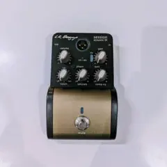 2025年最新】l.r.baggs sessionの人気アイテム - メルカリ