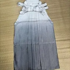 Item thumbnail for item 62ee38c6-4163-4eb6-95a6-a0c1c8b9aab6