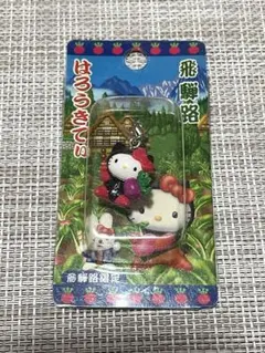 2025年最新】飛騨高山キティの人気アイテム - メルカリ