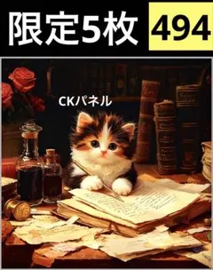 限定5枚　レアパネル生地　新柄　猫パネル生地