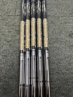 ダイナミックゴールド