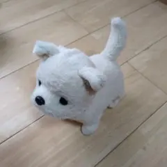 クリーム色の犬のぬいぐるみ