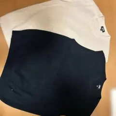 ユニクロベスト 2色セット
