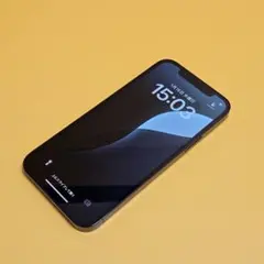 iPhone 12 Pro 256GB｜24時間以内発送!#509