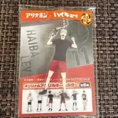 ハイキュー!! アリナミン アクリルキーホルダー 灰羽リエーフ