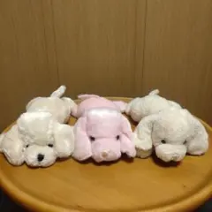 L-PLANNING　ゴールデンレトリバー