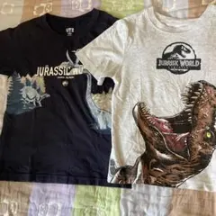 ⭐︎夏物処分⭐︎ジュラシック・ワールド Tシャツ 2枚セット　120