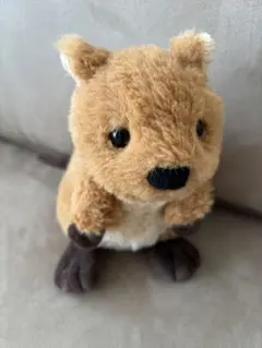 クオッカ　ぬいぐるみ　動物園