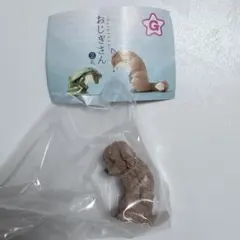 おじぎさん2礼　トイプードル