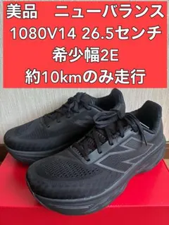 New Balance Fresh Foam X 1080 v14 2E