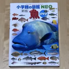【まとめ割可】小学館の図鑑 neo 魚 DVD無し