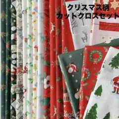 ☆【おまけ付】クリスマス柄 カットクロスセット①☆