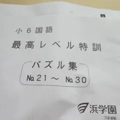 2026年最新】浜学園小6国語の人気アイテム - メルカリ