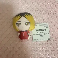 [新品タグ付き]ハイキュー!!ぬいぐるみちゃーむvol.2 孤爪研磨