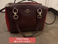まだまだキレイ COACH 2way ショルダーバッグ バイカラー