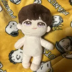 SEVENTEEN ウォヌ ぬいぐるみ