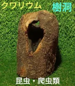 Item thumbnail for item 9c7aedf5-5202-4913-a74a-8061407f41a4