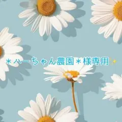 ＊ハーちゃん農園＊様専用✨️