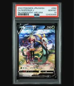 2025年最新】ジャローダv csr psa10の人気アイテム - メルカリ