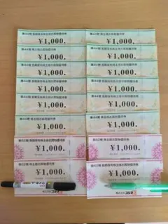 ビックカメラ コジマ 株主優待券 16000円分