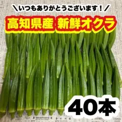 40本 高知県産 オクラ 野菜 即購入OK 産地直送 unr461のサムネイル