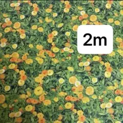 2M お得　年中セール品　草花柄シーチングプリント生地ハギレ生地