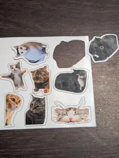猫ミーム ステッカー セット