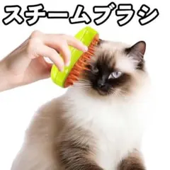 ペット スチームブラシ ペットブラシ 犬 猫 USB充電 マッサージ
