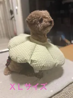 Item thumbnail for item f15b75d6-6b0e-4af9-8aa4-aee53a03c294