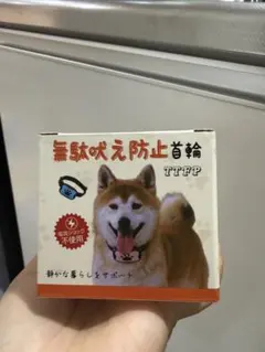 Item thumbnail for item 6903f2bd-1e8c-40e6-8e4e-191662915313