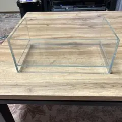 新品未使用 DOOA ネオグラスエア 20×20×8 ADA ホーンウッド DOOAブランド商品の販売(アクアマリン熊本)