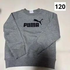 Item thumbnail for item 2f6e386b-7181-443d-af57-b179b4c902de