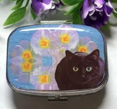 ⚠️フォロワー様感謝SALE⚠️ハンドメイド レジン 黒猫 オッドアイ ピルケース