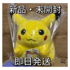 【本日限り】ポケットモンスター ポケモン30周年記念 おかえり！ピカチュウ1/1