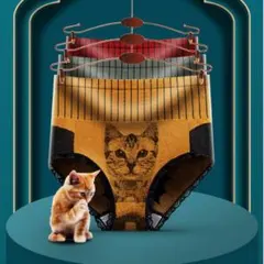 レディースレースLサイズ お腹引き締めショーツ　新品 4枚セット　猫のサムネイル