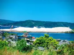 専用出品枠　モモンガ様