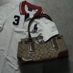 archive COACH ショルダーハンドバッグ シグネチャー レザー 茶色