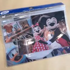 ディズニー 実写 ファスナー付きケース