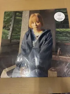 2026年最新】川本真琴 lpの人気アイテム - メルカリ