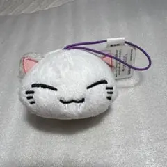 2025年最新】ねむネコぬいぐるみの人気アイテム - メルカリ