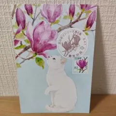 ヌオーマミー様 リクエスト 2点 まとめ商品