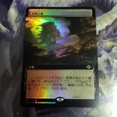 mtg まき散らす菌糸生物 英語 1枚 Foil SLP - メルカリ
