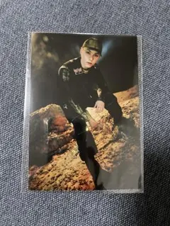 バーノン L判生写真