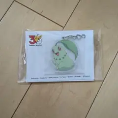 ポケットモンスター アクリルキーチェーン Vol.2 ジョウト地方 - メルカリ