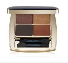 エスティローダー　ピュアカラーエンヴィ　リュクスアイシャドウクアッド　08